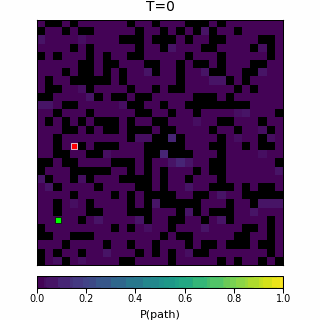 HRM Maze-hard path probability evolution