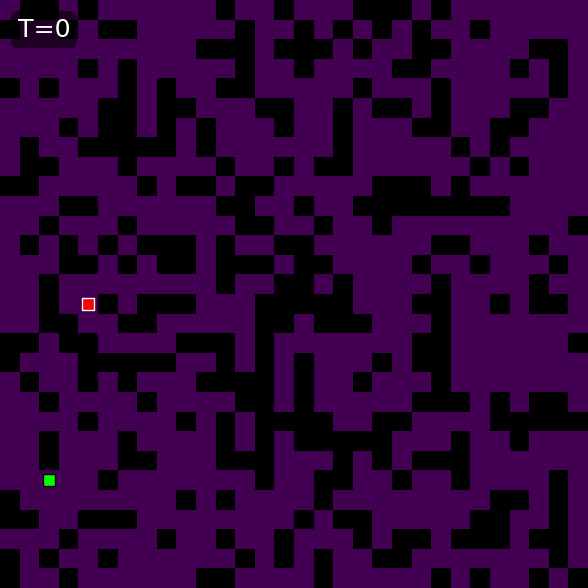 WONN Maze-hard path probability evolution, example 1
