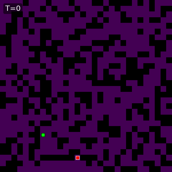 WONN Maze-hard path probability evolution, example 2