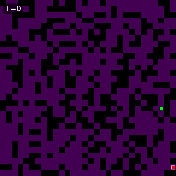 WONN Maze-hard path probability evolution, example 3