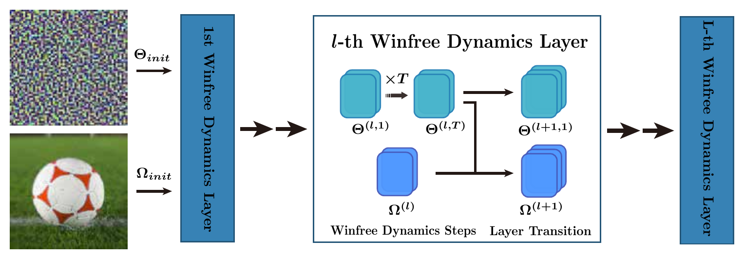 Winfree Oscillatory Neural Network architecture