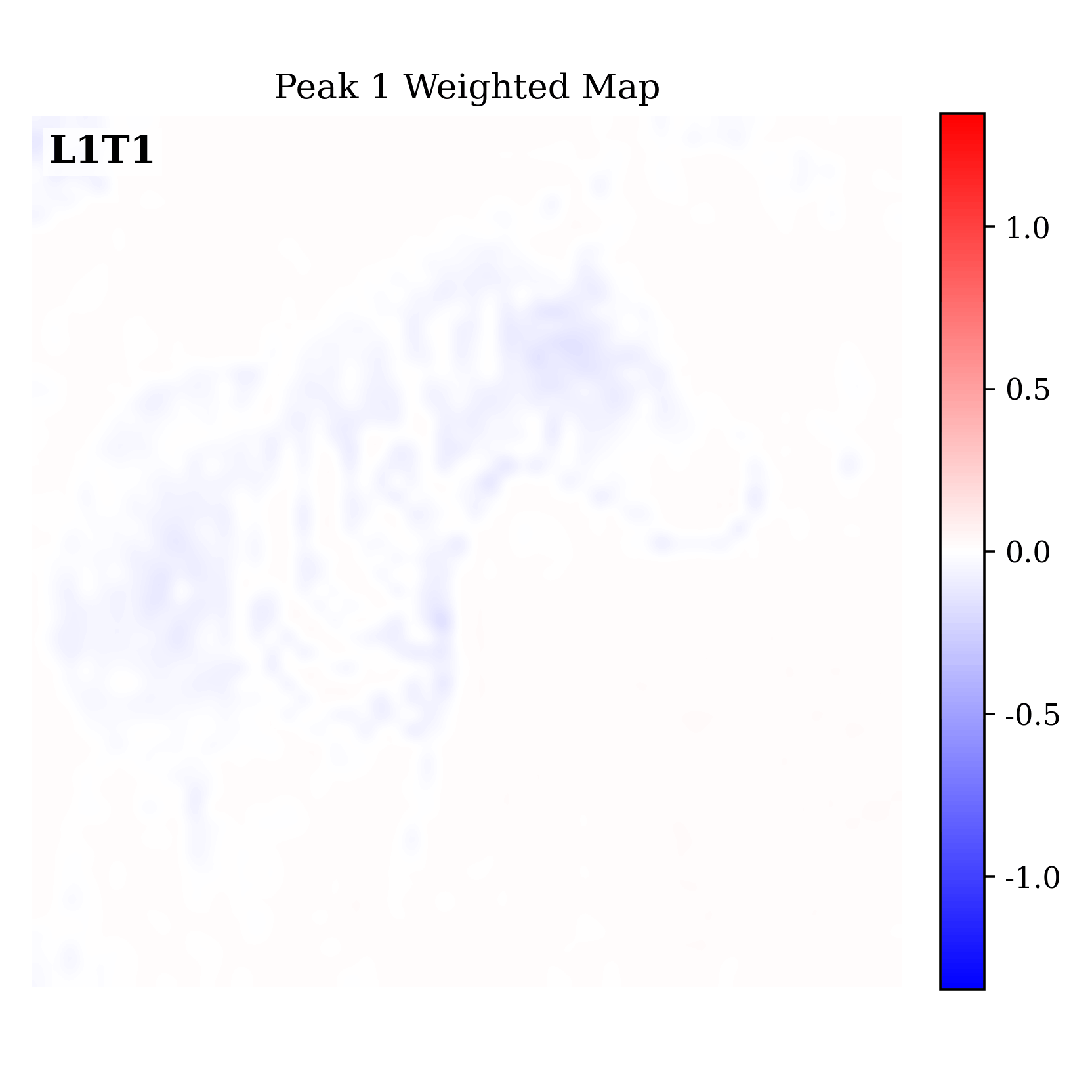 Peak 1 weighted map layer dynamics